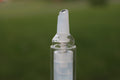 Plumping Gloss Clear Shine #1